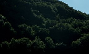 _sebastien_carlier_-09557.jpg