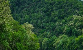 _sebastien_carlier_itinerance_canoe_23-09861.jpg