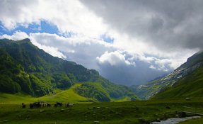 dsc07073.jpg