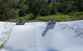 img_0096.jpg