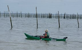 sejpur_kmer_itineraires_partages_2014-58-2.jpg
