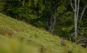 bivouac_brame-04324.jpg
